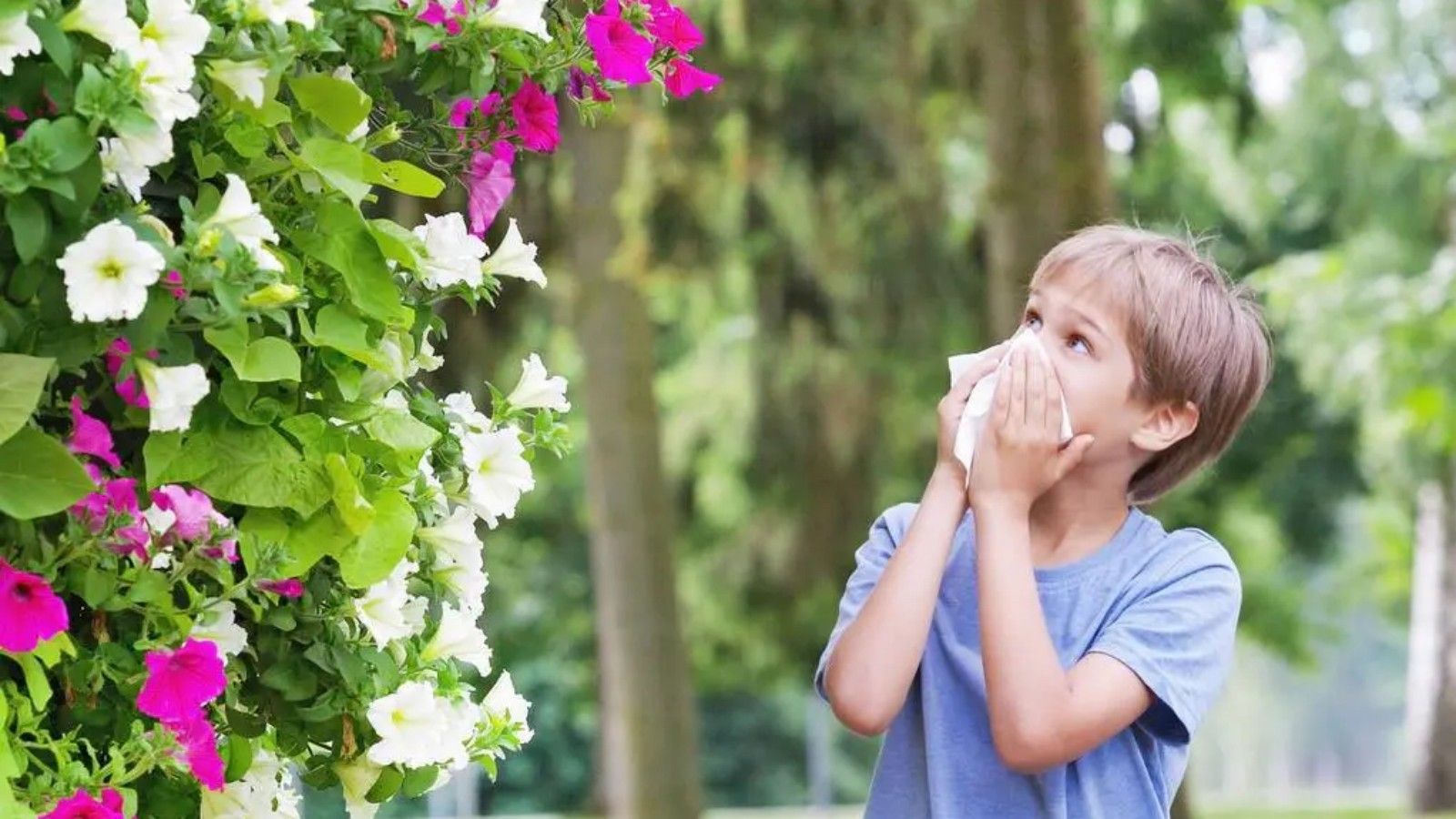 Attention, people with allergies! Avoid choosing these "high-risk" plants
