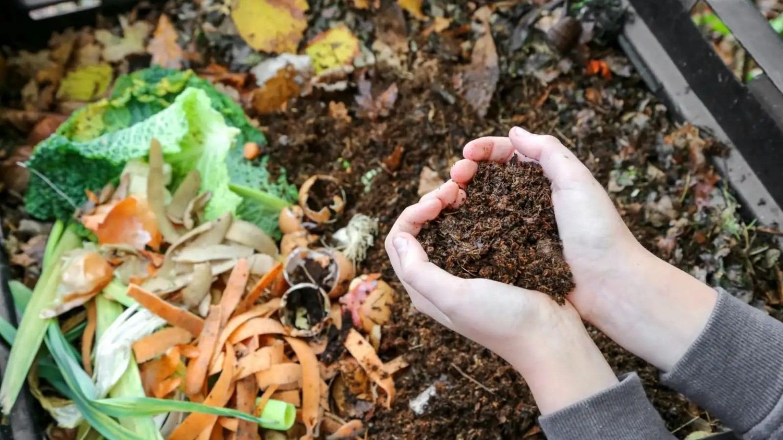 How to make efficient compost from kitchen waste?