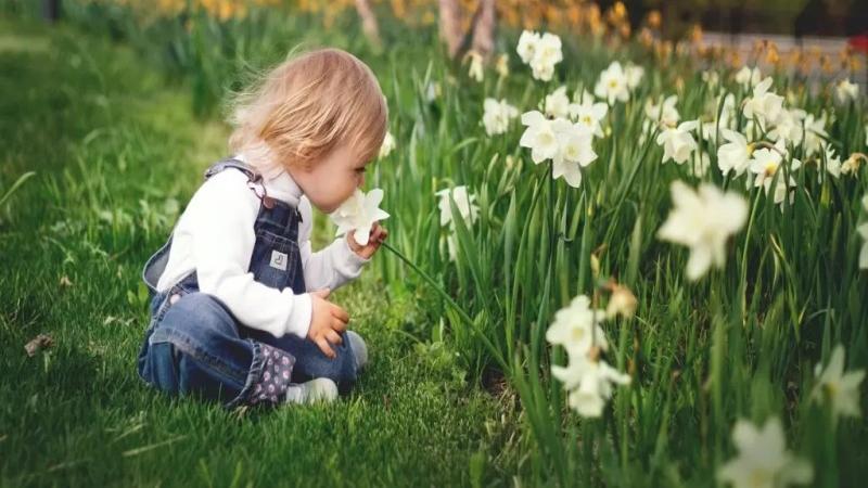 Help Your Child Fall in Love with Nature by Choosing These Flowers